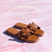 Divi Aruba Beach Slides