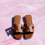 Divi Aruba Beach Slides